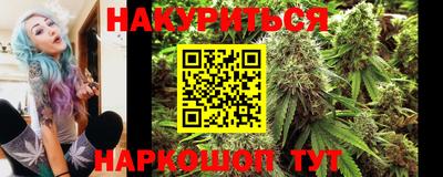 эйфоретик Будённовск